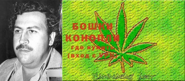 PSILOCYBIN Лихославль