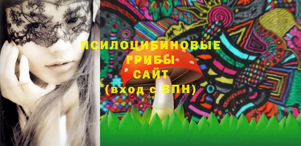 PSILOCYBIN Лихославль