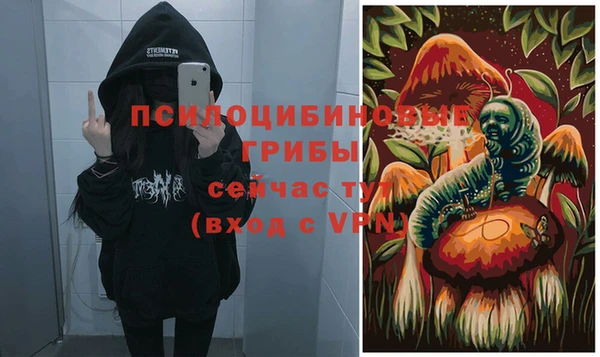 молекула духа Липки