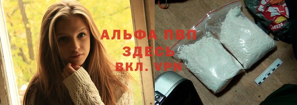 PSILOCYBIN Лихославль