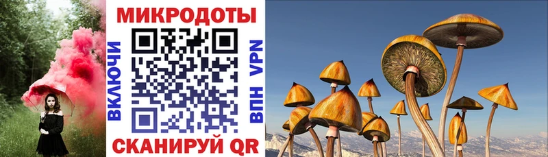купить закладку  ОМГ ОМГ зеркало  Галлюциногенные грибы Psilocybe  Абаза 